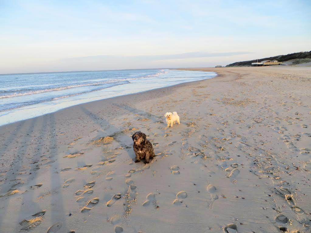 Strandhotel De Logerij Renesse Zewnętrze zdjęcie